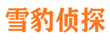 静安寻人公司